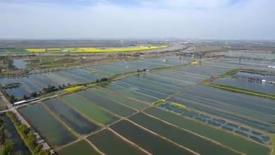 4k航拍春季农业水田自然光景延时视频的预览图